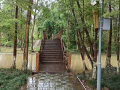 -桤木河湿地公园