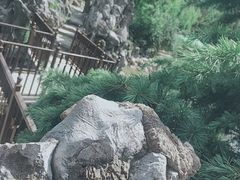 -郑和公园