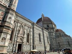 -圣母百花大教堂穹顶