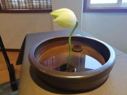 -熙画美上门MakeUp美甲美睫