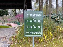 -贡湖湾湿地公园