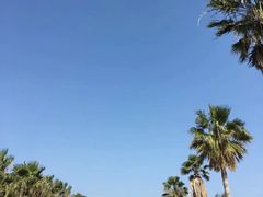 -黄金海岸环岛路