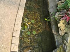 -南山植物园