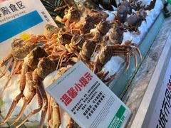 -亚马逊蒸汽活海鲜自助(LCM置汇旭辉广场店)