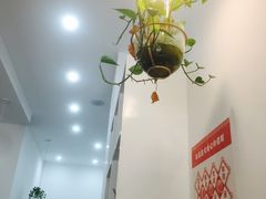 -ICEPOPO MILK(玉兰店)