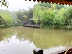 -西院1号(龙井店)