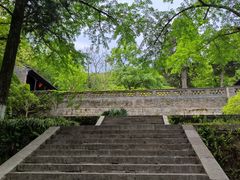 -镇江市南山风景名胜区竹林景区