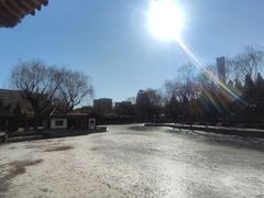 -团结湖公园
