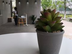 -COFFEE CALL(云锦路店)