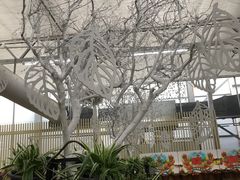 -荷兰花海