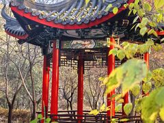 -仁和公园(顺义区)