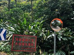 -佛山市三水区大南山森林公园