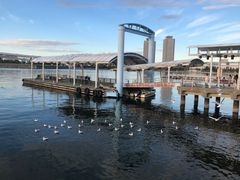 -台场海滨公园船码头