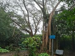 -海口火山口国家地质公园