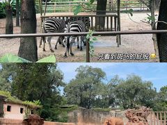 -广州动物园