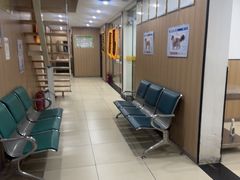 -米苏动物医院·犬猫专科·骨科外科内窥镜