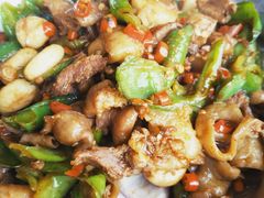 -墨脱石锅椰子鸡•香草鸭•东山羊(大东海店)