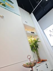 -诗碧曼养发