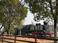 -南通鲜花小镇