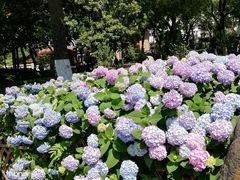 -常州古运河南大街文化旅游区-人民公园