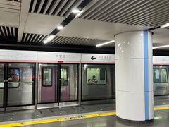 -大望路(地铁站)