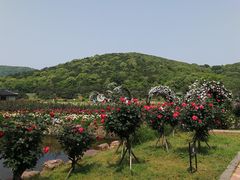 -龙寺生态园