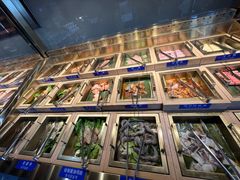 -33韩式自助烧烤(环城南路店)