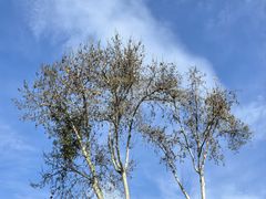 -郭鸡肉·非遗餐厅(安仁古镇店)