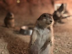 -酷嗒动物文化乐园(cutezoo西溪乐天城店)