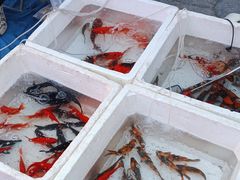 -华声天桥民俗文化园