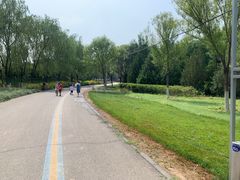 -永定河休闲森林公园