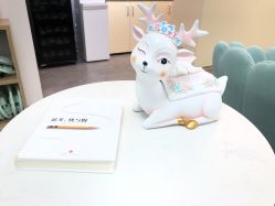 -卓拓普拉提