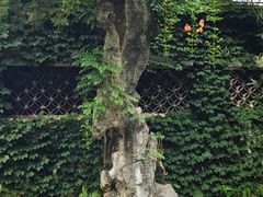 -惠山古镇·寄畅园