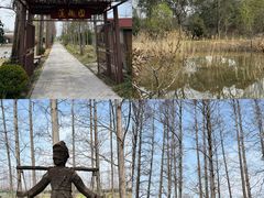 -上海长兴岛郊野公园