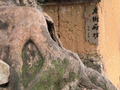 -杨家堂村
