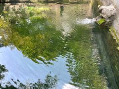 -四门塔风景区