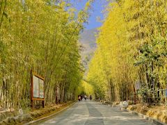 -蝴蝶泉公园