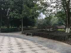 -重庆彩云湖湿地公园