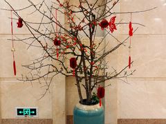 -福州长乐国际机场