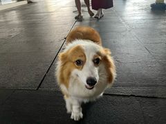 -聚宝螺蛳粉(聚宝店)