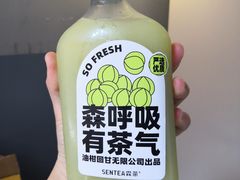 青玉油柑-森茶(湛江万达店)