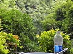 -龙井壹号·茶缘山景宴(龙井村店)
