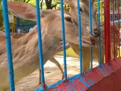 -荆州中山公园动物园