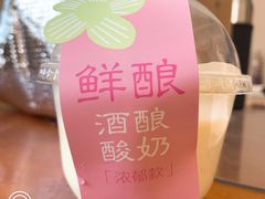 原味酒酿酸奶-宝珠奶酪(浦东金桥店)