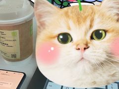 -奈雪的茶(领展中心城店)
