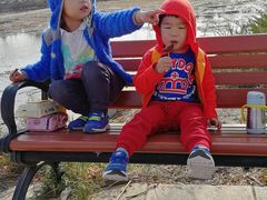 -大兴滨河森林公园