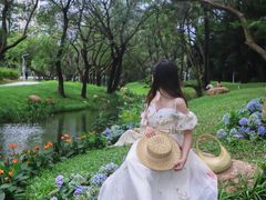 -人民公园(罗湖区)