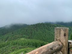-武陵山森林公园