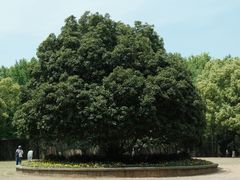 -灵谷景区
