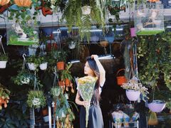 -溪岸路花鸟市场